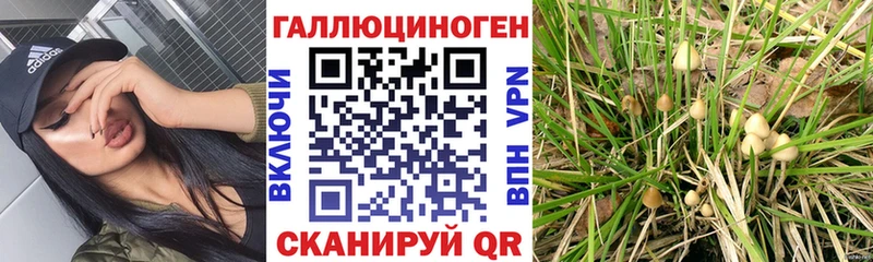 Галлюциногенные грибы Cubensis Нефтеюганск